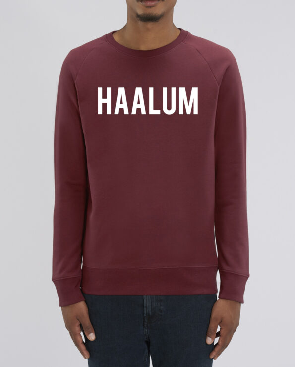 haarlem sweater online kopen