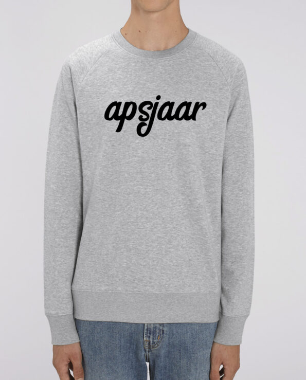 sweater-apsjaar